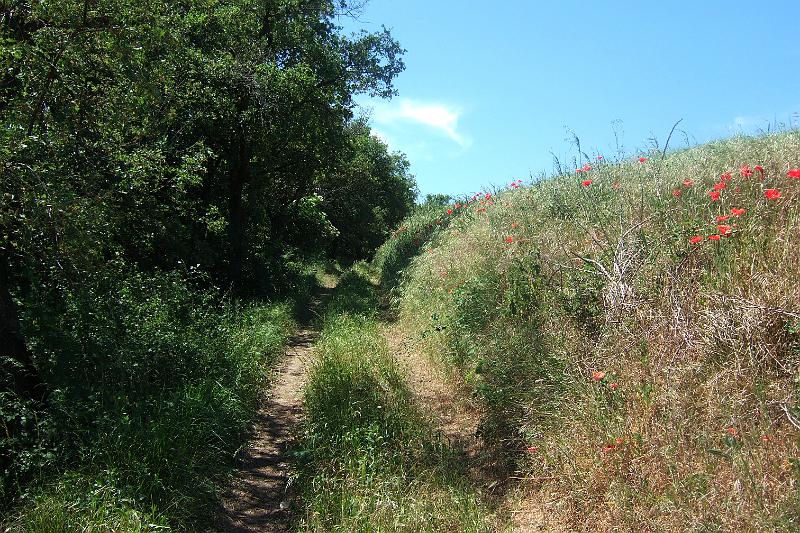 2011-05- (370).JPG